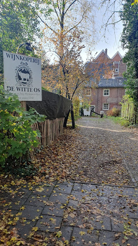 de Witte Os, cave anno 1768