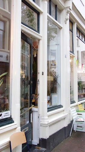 Lunchcafé curcuma - Gouda