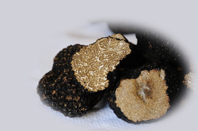 Restaurant Herberg Stadt Stevenswaert - Stevensweert