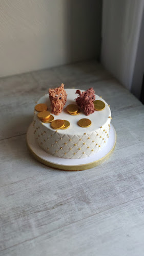 tortocake Open Times