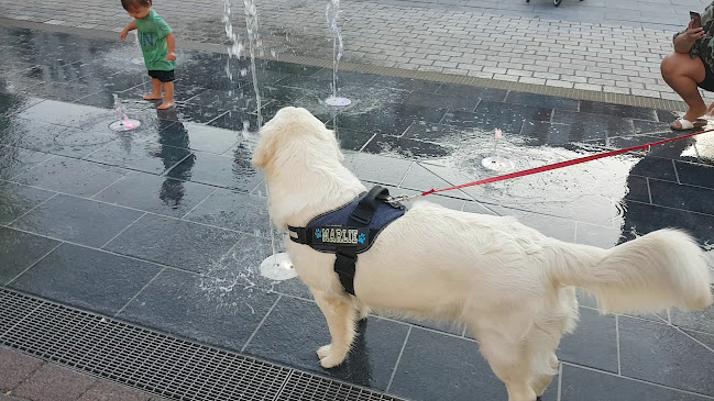 Opinii despre Restaurant De Beren Alphen aan den Rijn în Alphen aan den Rijn - Horeca