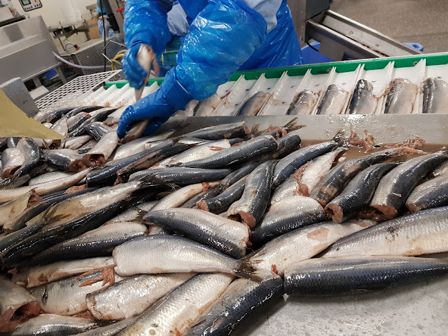 Neptunus BV - Enschede