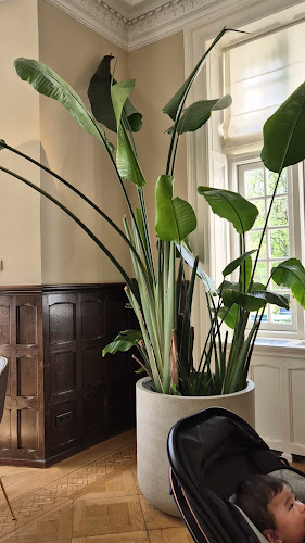 Buurtweg 90, 2244 AG Wassenaar