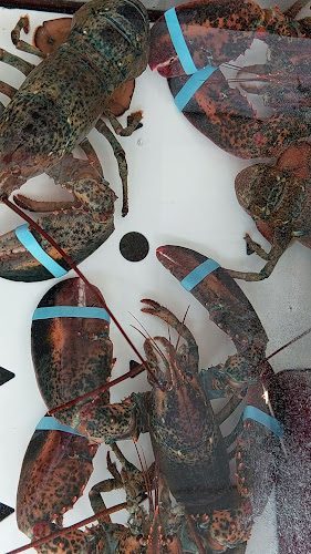 Dijkpaviljoen De Westkaap - Horeca