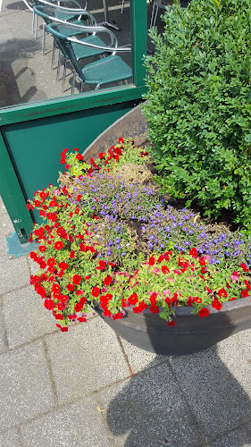 Comentarii opinii despre Café-Bar-Korevaar