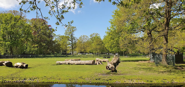 Central Park Voorburg Phone number