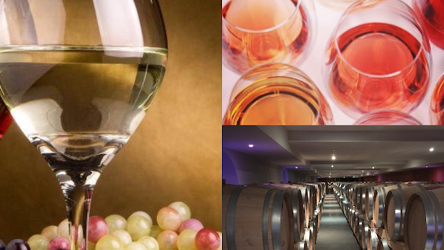 Opinii despre Sovino & Co în Zwolle - Horeca