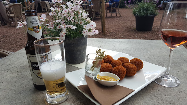 Herberg de Fazant - Oudemolen