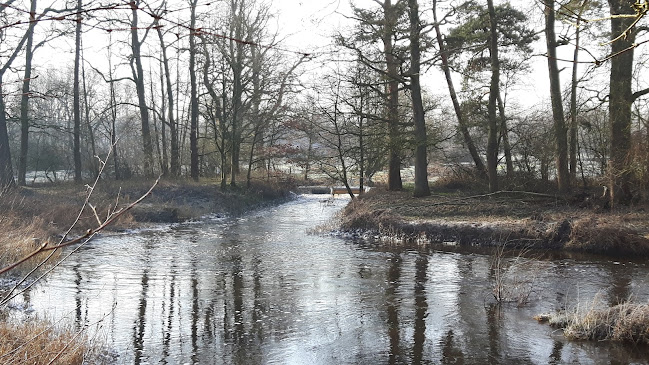 Comments and reviews of Restaurant Paviljoen Lutterzand