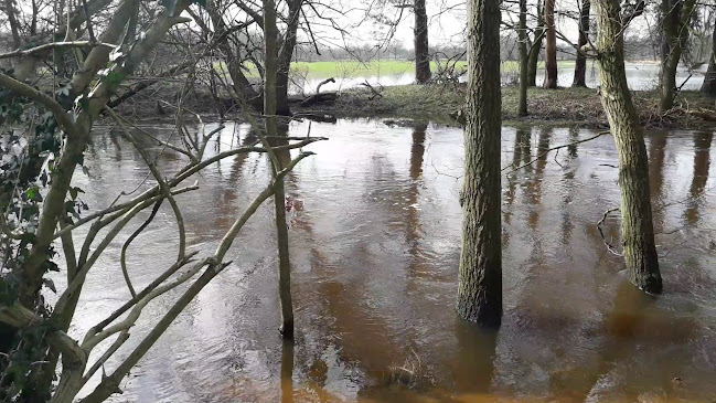 Reviews of Restaurant Paviljoen Lutterzand in De Lutte - Horeca