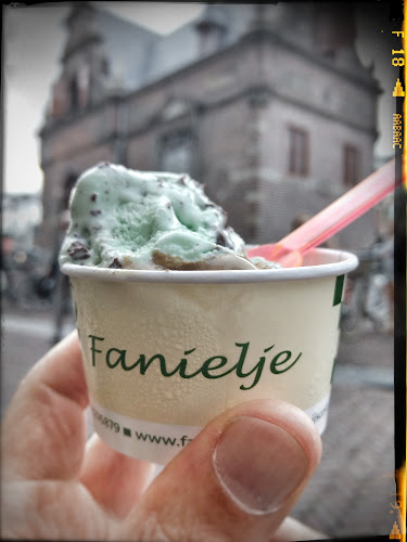 IJssalon Fanielje - Leidschendam