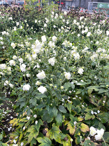 Toetie Froetie gedroogd fruit - Horeca