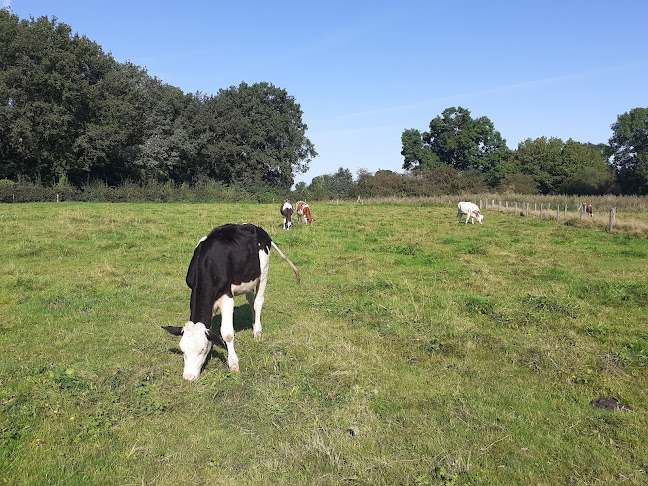 De Schutkooi - Horeca