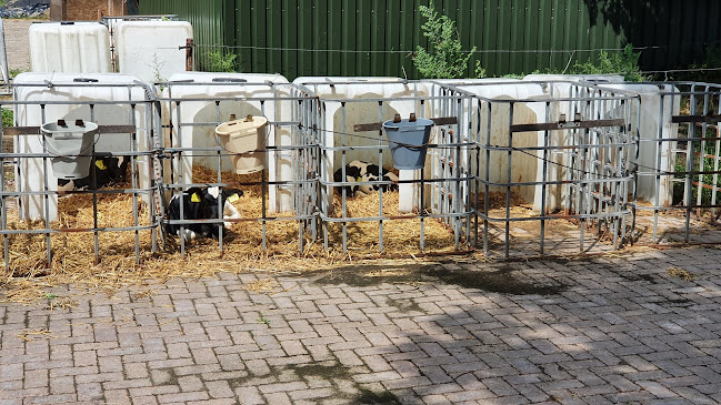 Comments and reviews of Boerderij Terras de Ritskampen