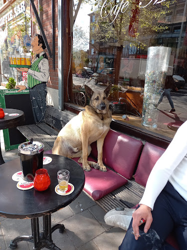 Tweede Hugo de Grootstraat 62, 1052 LG Amsterdam