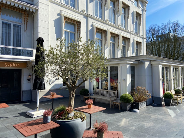 Sophia Restaurant & Lounge - Horeca