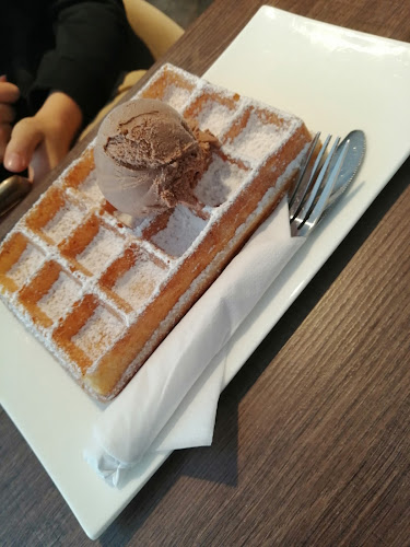 Comments and reviews of De IJsvogel