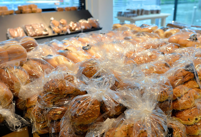 Wade 2, 8043 LV Zwolle