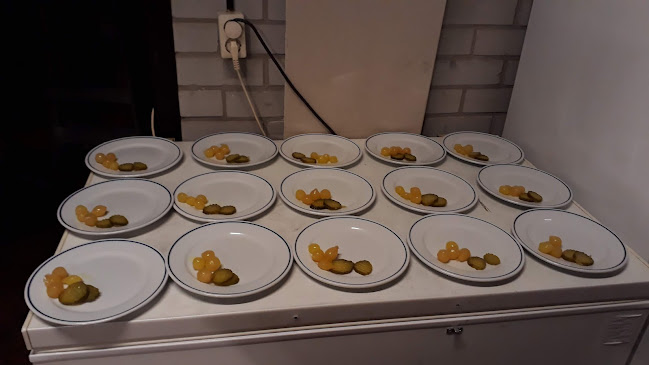 Opinii despre Café De Schelvis în Zuid-Scharwoude - Horeca