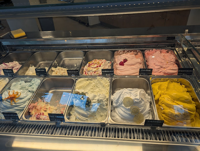 Comentarii opinii despre IJssalon de Schepper