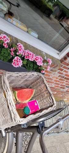 Handelsonderneming L.L.E. Melsen