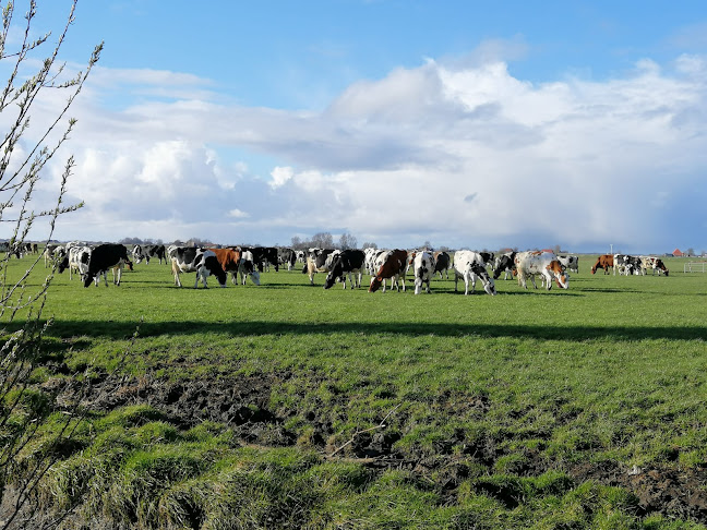 IJsboerderij Margje 24