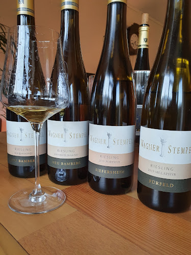 Comentarii opinii despre Paul Brasz-Wijnen