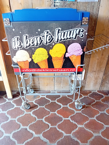 Comentarii opinii despre IJssalon “De Kleine Haan”