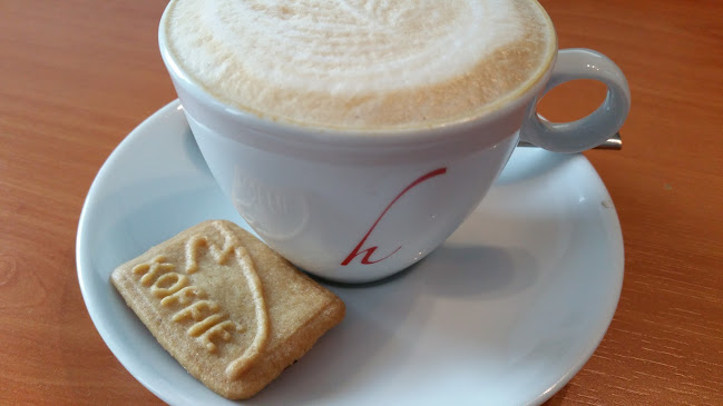 De Eendracht in De Hofvlietvilla