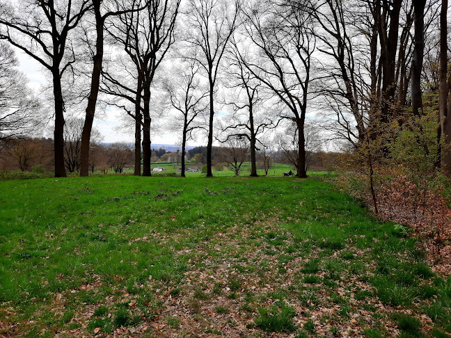 De Steenen Tafel Phone number