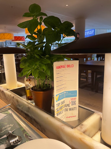 Vapiano Rotterdam Plaza Open Times