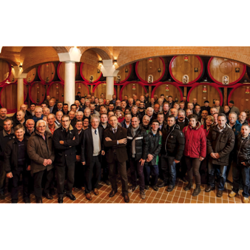 Comentarii opinii despre Time to Wine