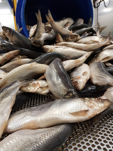 Opinii despre Neptunus BV în Enschede - Horeca