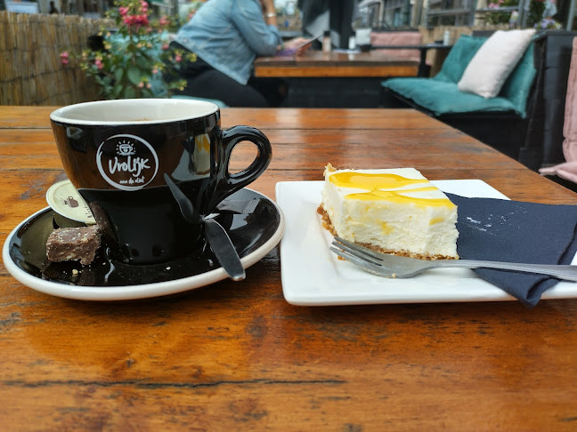 Reviews of Vrolijk aan de Vliet in Maassluis - Horeca