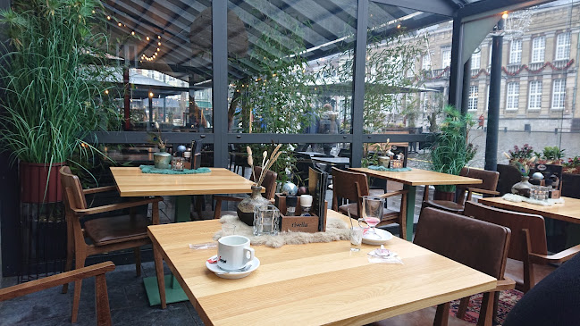 Opinii despre Markt 10 în Roermond - Horeca