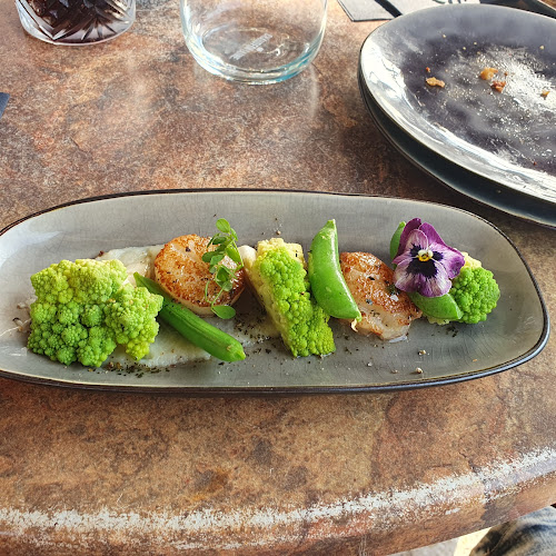 DOWN & UP - Harlingen