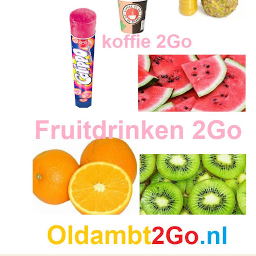 Oldambt2go.nl (Togo) - Winschoten