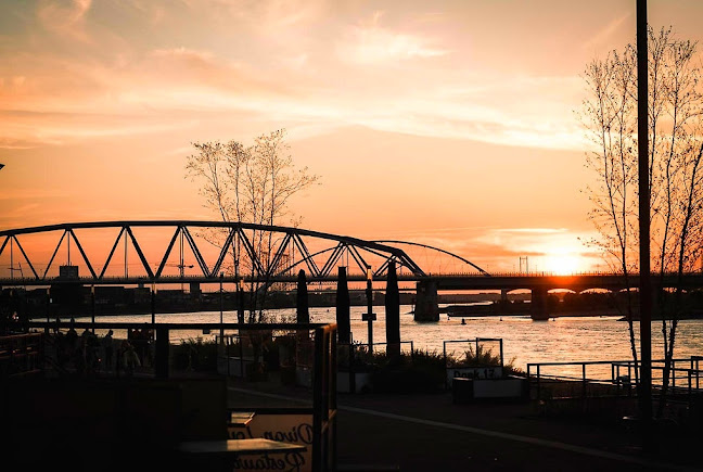 Grand café Waterwolf - Horeca