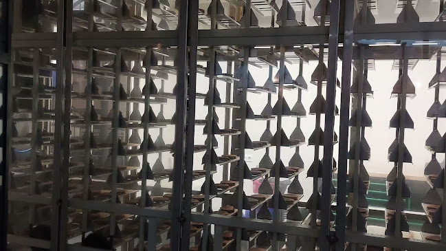 Markt 69, 2801 JM Gouda