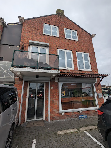 Comentarii opinii despre Toko Pandora