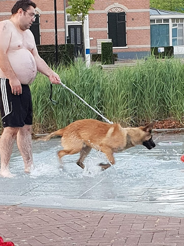 Comentarii opinii despre IJssalon Gio's Doetinchem