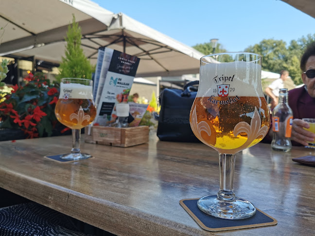 Comentarii opinii despre Grand café Restaurant de Mallejan