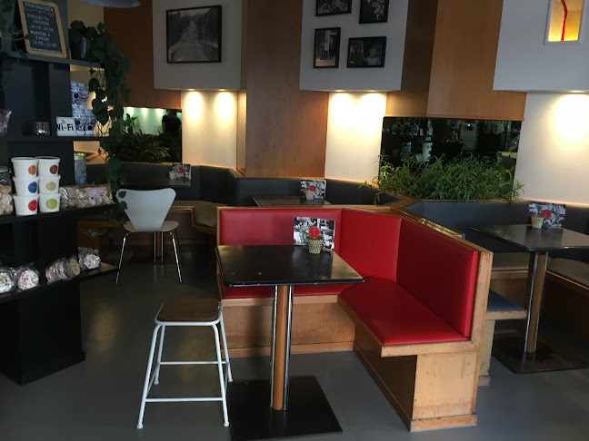 Comentarii opinii despre IJssalon Alessandro