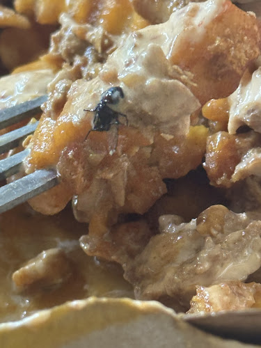 Comentarii opinii despre Su for Us