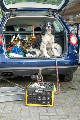 Bornsestraat 14, 7595 LG Weerselo