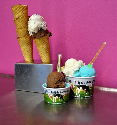 Opinii despre IJsboerderij en Minicamping De Koehoorn în Meliskerke - Horeca