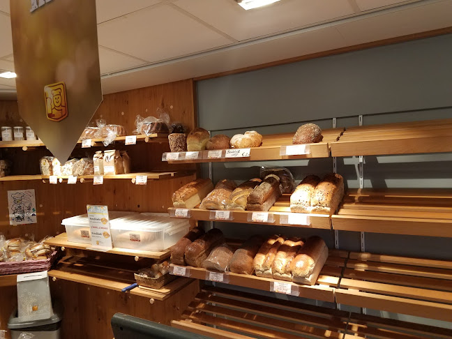 Opinii despre Echte Bakker Spanjer în West-Terschelling - Horeca