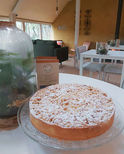 Comentarii opinii despre Kopje Genieten