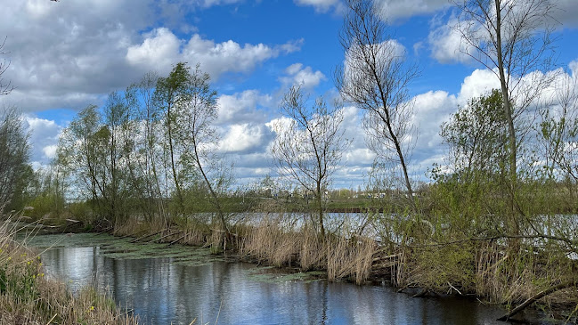 Comentarii opinii despre Herberg De "Poeling"