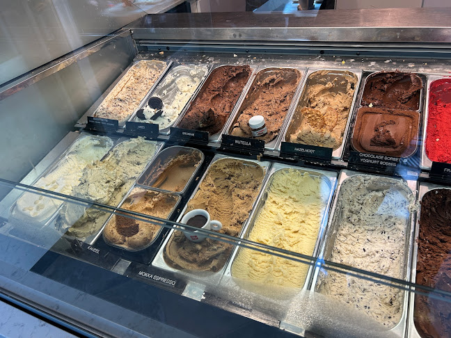 Comments and reviews of De IJsvogel